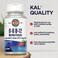 KALVitamin B6 B12 Methyl Folate ActivMelt Vitamin B Supplement Heart Health Energy and Red Blood Cell Support with Methyl B12 and DFE Folic Acid Natural Berry Flavor 60 Servings 60 Micro Tabs