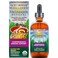 Host Defense MyCommunity Extract  17 Species Blend Mushroom Supplement for Immune Support  Extract with Lions Mane Reishi Chaga Cordyceps Turkey Tail  More  4 fl oz 120 Servings