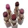 Paris HiltonHighShine Lipstick Collection  Lipstick Set with Pink and Red Lipstick  AllDay Wear Lightweight Formula Lipstick for Women  5 pcs