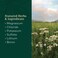 Gaia Herbs Pro Liquid Magnesium with Trace Minerals  Magnesium for Supporting DNA  Cellular Energy  with Magnesium Chloride Potassium  Trace Minerals  4 fl oz 48 Servings
