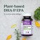 New Chapter Vegan DHA EPA and DPA Supplement Vegan Omega3 Complex 30 Vegan Softgels