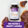 New Chapter Reishi Mushroom  LifeShield Reishi for Healthy Aging  Organic Reishi Mushroom  Vegan  NonGMO Nootropic Ingredients  60 ct