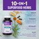 New Chapter Zyflamend MultiHerbal Pain Reliever Joint Supplement 10in1 Superfood Blend with Ginger  Turmeric for Healthy Inflammation Response  Herbal Pain Relief 120 Count