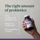 New Chapter AllFlora Probiotic Dual Immunity ClinicalStrength Ingredients  Highly Concentrated Probiotics for Active Immune Support  Gut Health  ImmuneBoosting Fermented Postbiotics 30 ct
