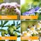 Herb PharmRelaxing Sleep Herbal Formula with Valerian Liquid Extract  4 Ounce