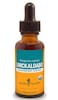 Herb Pharm Certified Organic Umckaloabo Liquid Extract for Respiratory System Support 1 Fl Oz