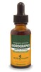 Herb Pharm Andrographis Liquid Extract for Immune System Support 1 Fl Oz Pack of 1 DANDRO01
