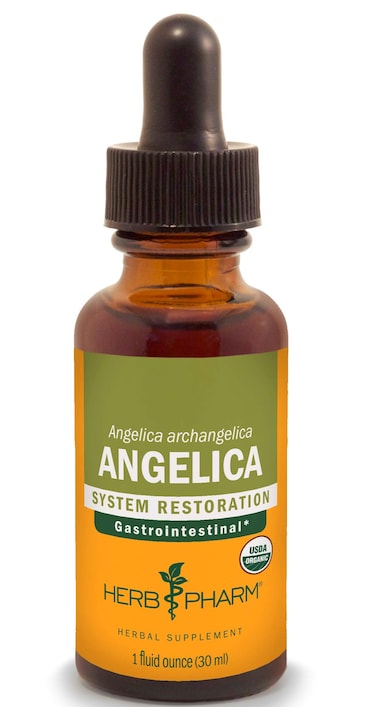 Herb Pharm Certified Organic Angelica Root Liquid Extract for Digestive Support 1 Fl Oz