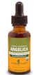 Herb Pharm Certified Organic Angelica Root Liquid Extract for Digestive Support 1 Fl Oz