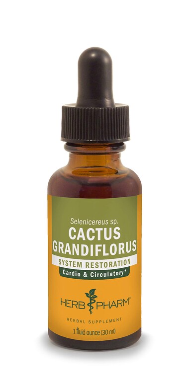 Herb Pharm Cactus Grandiflorus Liquid Extract for Cardiovascular Circulatory Support  1 Ounce