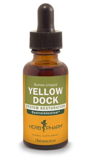 Herb Pharm Yellow Dock Liquid Extract for Digestive System Support  1 Ounce
