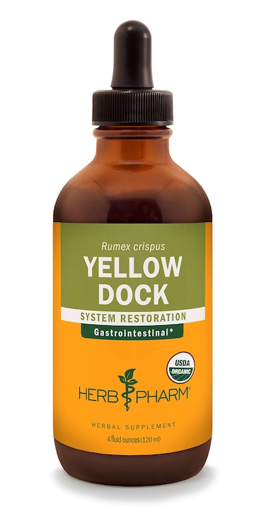 Herb Pharm Yellow Dock Liquid Extract for Digestive System Support  4 Ounce