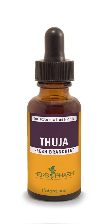 Herb Pharm Thuja Branchlet Liquid Extract  1 Ounce DTHUJA01