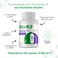 Bio K Immune Health with Wellmune  Vegan Probiotic Supplement for Supported Immunity Maintains Digestive Health with 25 Billion CFU 3 Strains  60 Capsules