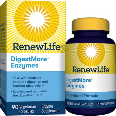 Renew LifeAdult Digestive Enzyme  LGlutamine DigestMore PlantBased Foods Enzyme Formula for Men  Women Smooths Digestive Tract Vegetarian 90 Capsules