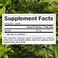 Natural Factors Quercetin 500 mg for Immune Support 60 Capsules
