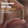 Natural Factors Quercetin 500 mg for Immune Support 60 Capsules