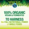 Whole Earth  Sea from Natural Factors Organic Fermented Greens Vegan Whole Food Supplement Unflavored 138 Oz