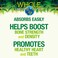 Whole Earth  Sea from Natural Factors Bone Structure Multivitamin  Mineral Whole Food Supplement Vegan and Gluten Free 60 Tablets 30 Servings