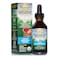 Host Defense Breathe Extract  Immune  Respiratory Support Mushroom Liquid Supplement  Herbal Lung Health Supplement with Chaga Reishi  Cordyceps  2 fl oz 60 Servings