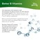 Terry NaturallyBioActive Vitamin B  60 Capsules  Biologically Active Forms of Vitamin B12 Folate  B6  NonGMO Vegan Gluten Free  60 Servings