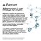 Terry NaturallyBioActive Magnesium Complex  60 Capsules Pack of 2  with Vitamin B6  Zinc  NonGMO Vegan Gluten Free Kosher  120 Total Servings