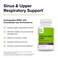 Terry Naturally Andrographis EP80 with Umckaloabo  60 Capsules  Sinus  Upper Respiratory Support  NonGMO Vegan Gluten Free  60 Servings