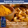 Life ExtensionSuper BioCurcumin Turmeric Extract 400mg 90 Veg Caps  Vegetarian Capsules  NonGMO  Highly Absorbable