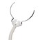 ResMedAirFit P10 Replacement Frame System Without Headgear  Medium