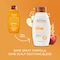 Aveeno Apple Cider Vinegar Clarifying Shampoo Shine Enhancing 12 fl oz