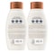Aveeno Fresh Greens Shampoo  Conditioner with Rosemary Peppermint  Cucumber to Thicken  Nourish Clarifying  Volumizing Shampoo for Thin or Fine Hair ParabenFree 12 Fl Oz 2 Count Pack of 1