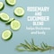 Aveeno Fresh Greens Shampoo  Conditioner with Rosemary Peppermint  Cucumber to Thicken  Nourish Clarifying  Volumizing Shampoo for Thin or Fine Hair ParabenFree 12 Fl Oz 2 Count Pack of 1