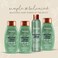 AveenoFresh Greens Blend SulfateFree Dry Shampoo Spray with Rosemary Peppermint  Cucumber to Thicken  Nourish Volumizing Dry Shampoo for Thin or Fine Hair Paraben  DyeFree