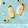 Aveeno Sunflower Oil Blend Conditioner for Dry Damaged Hair Dye Paraben  Sulfate Surfactants Free 12oz