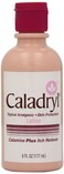 Caladryl Lotion Calamine Plus Itch Reliever 6Ounce Bottle