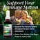 Natures AnswerAlcoholFree Sambucus Extract Spray 2Ounces  Immune System Support  Vegan GlutenFree No Artificial Flavors or Preservatives  Single Count