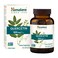Himalaya Quercetin Supplement for PlantBased Bioflavonoid Support and Daily Wellness Antioxidant and Immune Support 500 mg NonGMO 60 Vegetarian Caplets 2 Month Supply