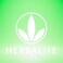 HerbalifeFormula 1 Nutritional Shake Mix Dutch Chocolate Net Wt 275 OZ 780G