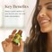 Young Living Stress Away Essential Oil Blend  Relaxing and Calming  100 Pure  5 ml  Blend of Copaiba Lime Cedarwood Vanilla Ocotea and Lavender
