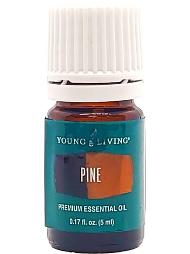 Pine Essential Oil 5ml by Young Living Essential Oils  Uplifting Aroma  Refreshing Breathing Experience  Repels The Influence of Negative Energy  Essential Oil Diffusers