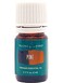 Pine Essential Oil 5ml by Young Living Essential Oils  Uplifting Aroma  Refreshing Breathing Experience  Repels The Influence of Negative Energy  Essential Oil Diffusers