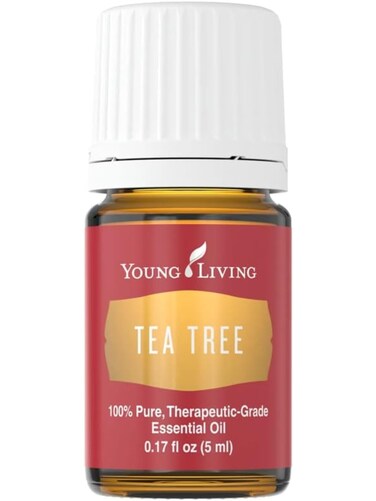 Tea Tree Melaleuca Alternifolia Essential Oil by Young Living  5ml  Purify and Revitalize with Natures Essence  Healthylooking Skin and Nails  Healthy Hair and Scalp