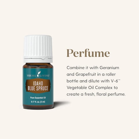 Idaho Blue Spruce Essential Oil 5ml by Young Living  Topical Application for Tired Muscles  Enhances Masculinity  Ideal for Meditation and Yoga Aromatherapy