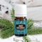 Idaho Blue Spruce Essential Oil 5ml by Young Living  Topical Application for Tired Muscles  Enhances Masculinity  Ideal for Meditation and Yoga Aromatherapy
