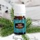 Idaho Blue Spruce Essential Oil 5ml by Young Living  Topical Application for Tired Muscles  Enhances Masculinity  Ideal for Meditation and Yoga Aromatherapy