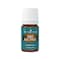 Idaho Blue Spruce Essential Oil 5ml by Young Living  Topical Application for Tired Muscles  Enhances Masculinity  Ideal for Meditation and Yoga Aromatherapy