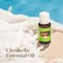 Citronella Essential Oil  Harness the Power of Nature to Create a More Invigorating Outdoor Environment  15 ml Oil Bottle by Young Living Essential Oils