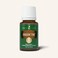 Dragon Time 15 ml Essential Oil by Young Living  Balancing  Soothing Aroma for Feminine Comfort Calming Relaxing  Grounding Sweet Herbaceous Scent Traditionally for Dysmenorrhea