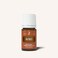 Nutmeg Essential Oil  5 ml  100 Pure Myristica Fragrans  Warm Spicy Aroma for Uplifting and Energizing  AntioxidantRich Oil for Immune Support Cognitive Function and Cleansing Properties