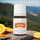 Young Living  Tangerine Vitality Essential Oil 5 ml  Contains Antioxidants  Immune Support  Dietary Supplement  Sweet Citrus Flavor Enhancer for Foods  Beverages